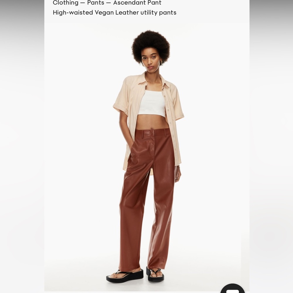 Aritzia Vegan Leather Ascendant Pant